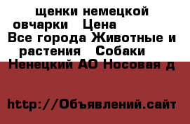 щенки немецкой овчарки › Цена ­ 15 000 - Все города Животные и растения » Собаки   . Ненецкий АО,Носовая д.